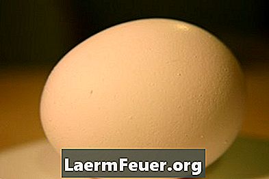 Hoe incubeer en roei ik eieren en hanen