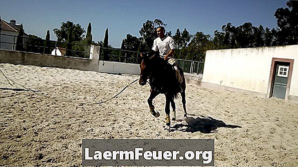 Een paard leren remmen met slippen