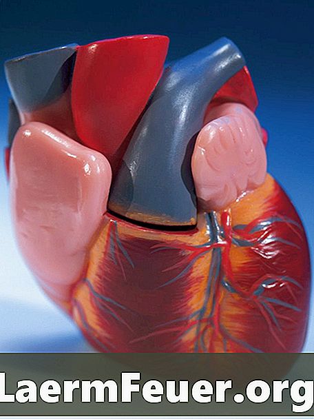 Kako oblikovati človeško srce v stiroporu