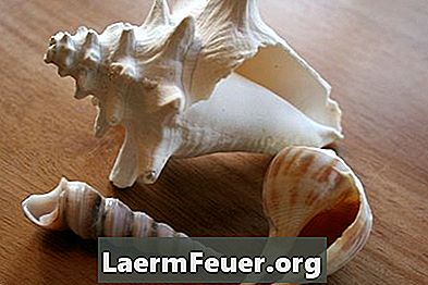 模造宝石を作るために貝殻を殺菌する方法