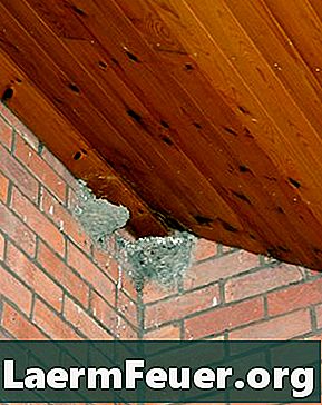 Cómo evitar que las golondrinas hagan nidos en su casa