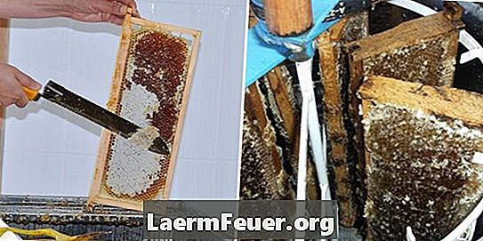 Como extrair cera de abelha de favos de mel