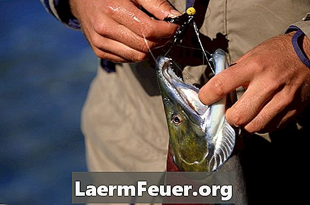 Как сделать собственную рыболовную приманку с чесночным порошком