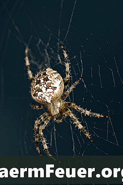 Comment faire des araignées métalliques pour Halloween