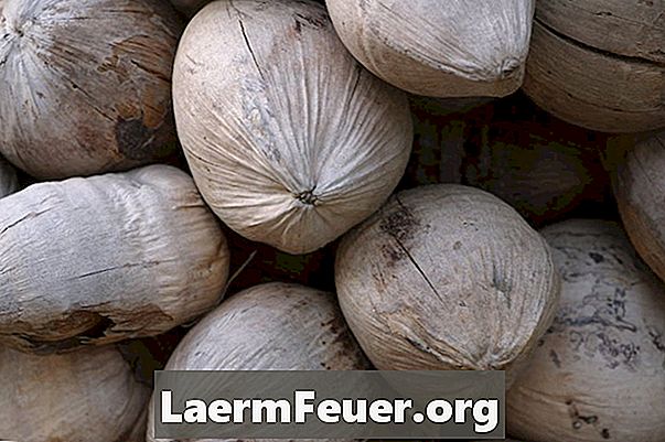 Hvordan lage tau av kokosnøtteskall