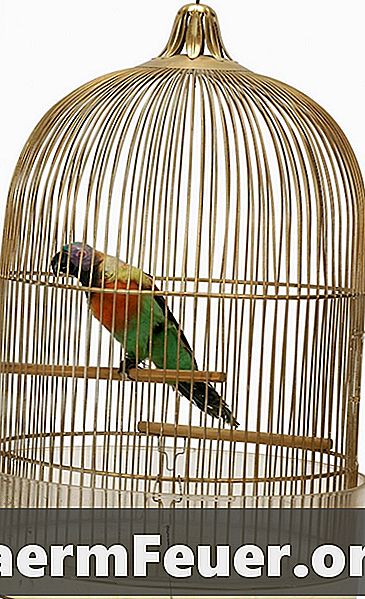 Comment accrocher des cages à oiseaux de style britannique