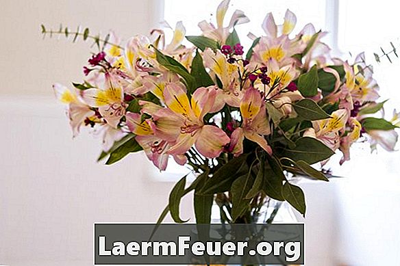 Como fazer um arranjo floral caseiro
