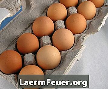 كيفية صنع تنين من كرتون البيض