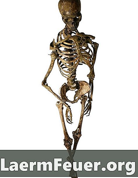 Como fazer um esqueleto artesanal