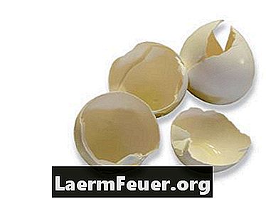 كيفية صنع قشرة البيضة واقعية مع الجص