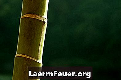 Comment faire une flûte de bambou