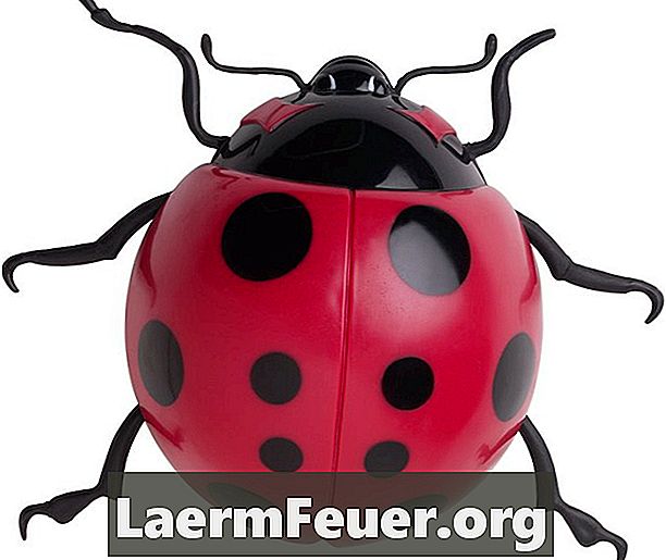 วิธีทำ Ladybug มะละกอ
