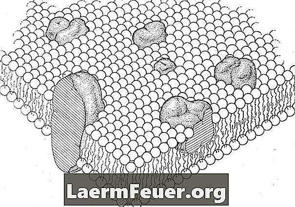 Comment fabriquer une membrane cellulaire en polystyrène