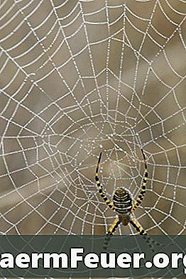 So erstellen Sie ein Spinnennetz mit Heißkleber