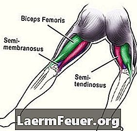 Jak posílit stehenní svaly bezpečně po zranění