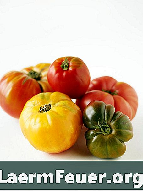 Tomatenzaden opslaan voor het planten van het volgende jaar