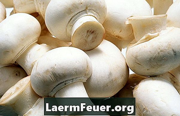 Kako identificirati istekle gljive
