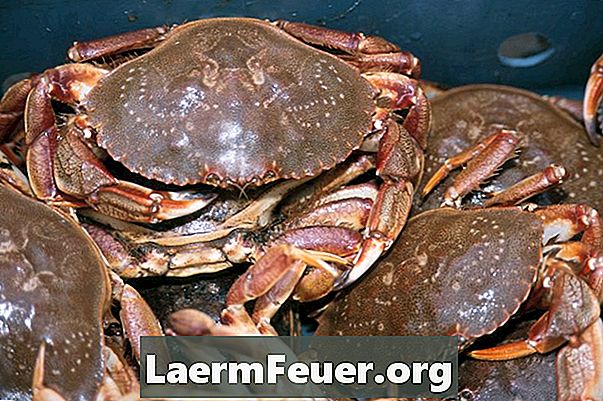 Hvordan rengjøre friske krabber som vil bli frosset