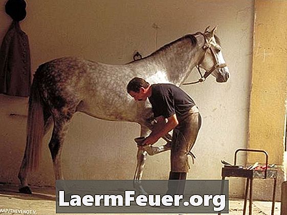 Hvordan skulptur og bryr seg om hovene av en hest med en rectifica