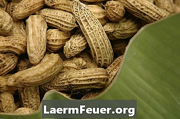 Kuidas hoida maapähklit värskena koor