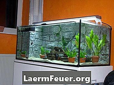 Como usar um filtro de água interno para um aquário