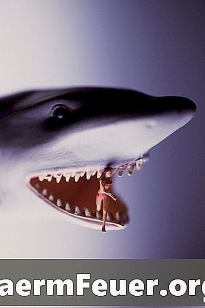 Bagaimana untuk membunuh ketam raksasa dalam "Shark Lapar"