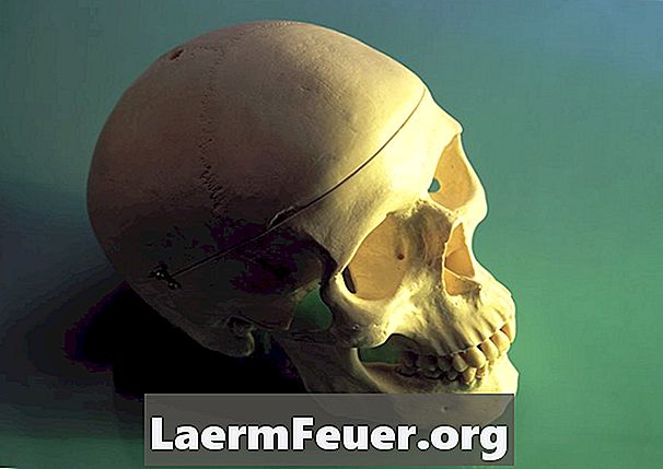Hur man modellerar en mänsklig skalle med självtorkande lera