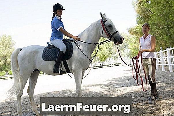 Comment taquiner un cheval pour rester immobile en montant et descendant