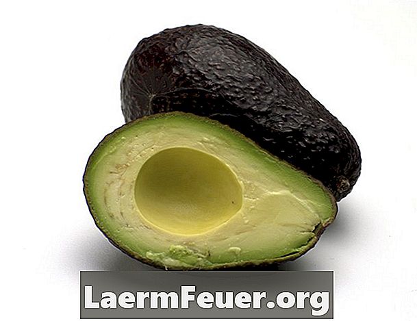 Hoe Hass-avocado's te planten