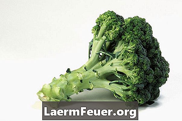 Cara menanam brokoli di dalam rumah