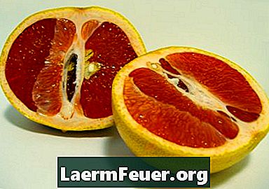 Hur man planterar grapefrukt från frön