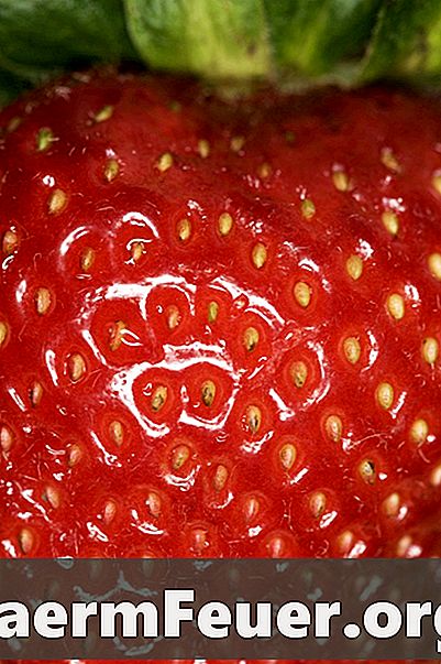 Sådan Prune Jordbær
