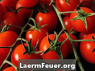 Ako prerezávať Cherry Tomato Plantation