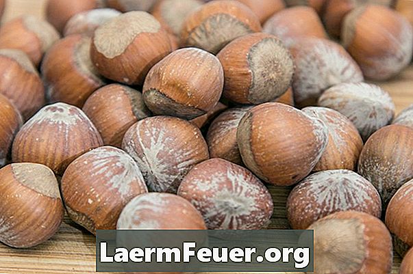 Kuidas murda sarapuupähklit ilma pähklipurejata