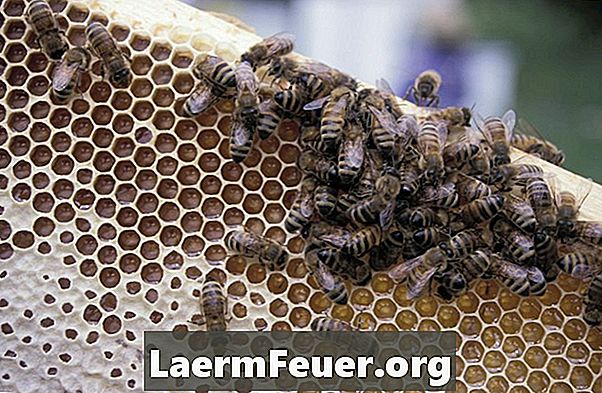 Hoe bijenwas uit kleding te verwijderen