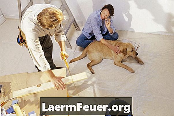 Hoe Paint van een hond te verwijderen