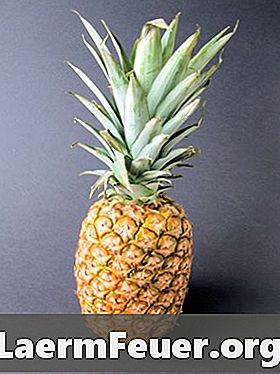 Jak wiedzieć, kiedy ananas jest dojrzały i gotowy do zerwania ze stopy