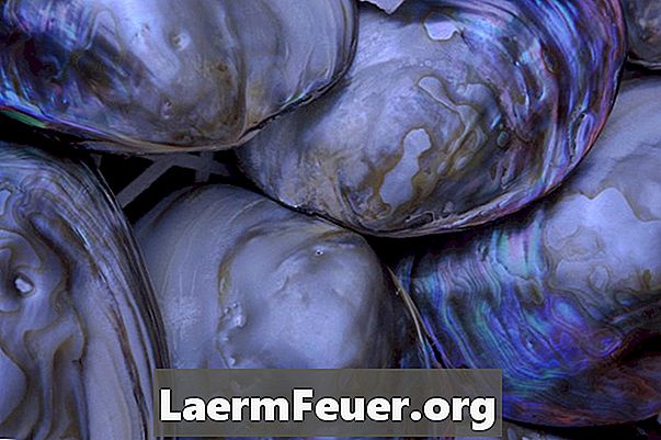 Hoe te weten of verse oesters worden verwend