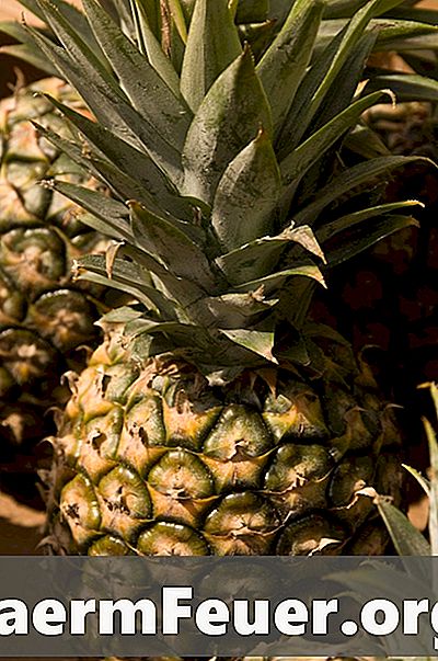 Kuidas teada saada, kas ananass on mäda