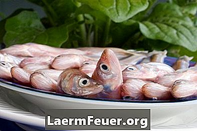 餌のために魚を塩漬けにする方法