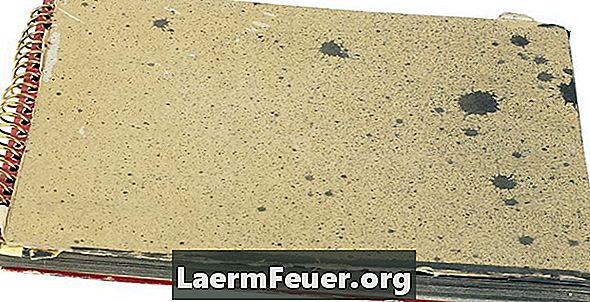 Kako se riješiti bijele plijesni koja raste na betonu