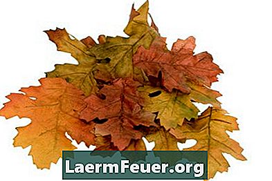 Cum să usuce frunzele de toamnă și să păstreze culoarea lor luminoase