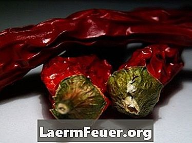Kuidas kuivatada punast Cayenne Peppersit ja Hot Spicy Peppersit