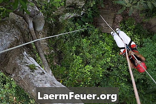 Petzlクライミングロープを使って木に登る方法