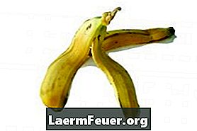 כיצד להשתמש קליפת בננה לטיפול בעור