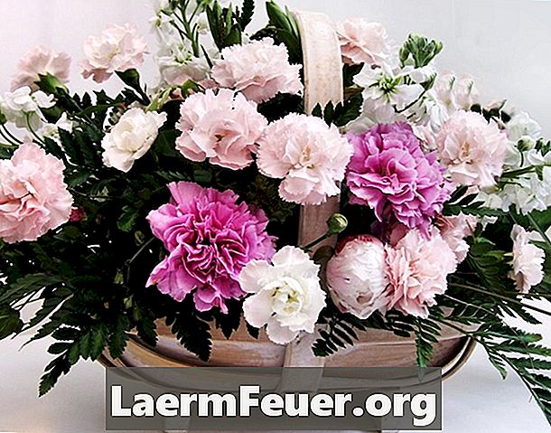 Hur man använder Carnations i Floral Arrangements