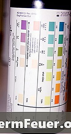 Farge på urin teststrimmel med ketose