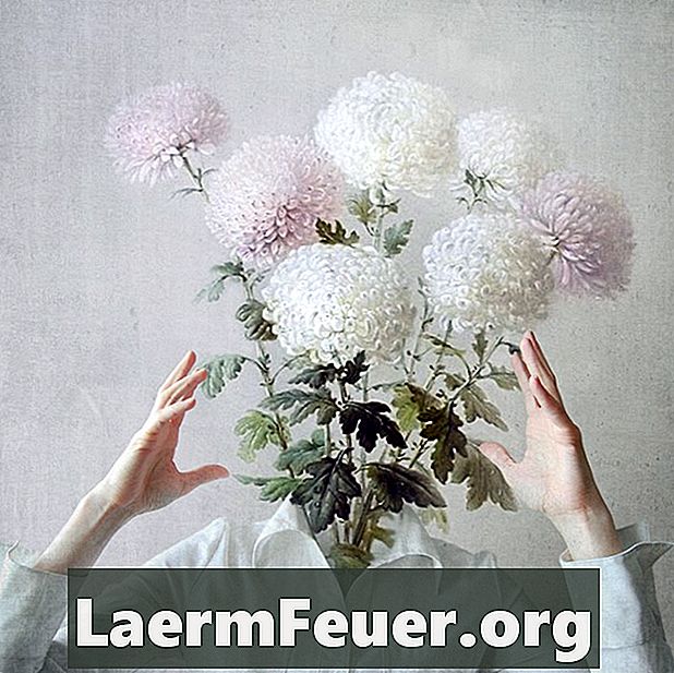 Διακόσμηση με λουλούδια: μία για κάθε περίσταση