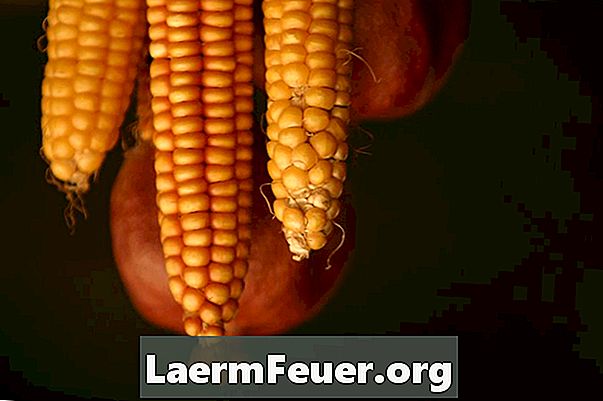 Forskjeller mellom cornmeal og cornmeal