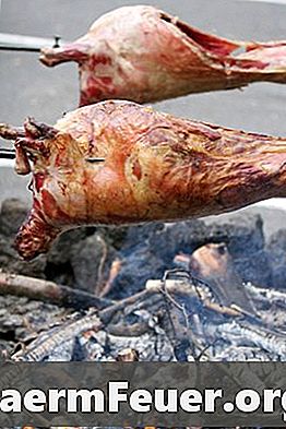 سيخ مشوي لحم الخنزير محلي الصنع
